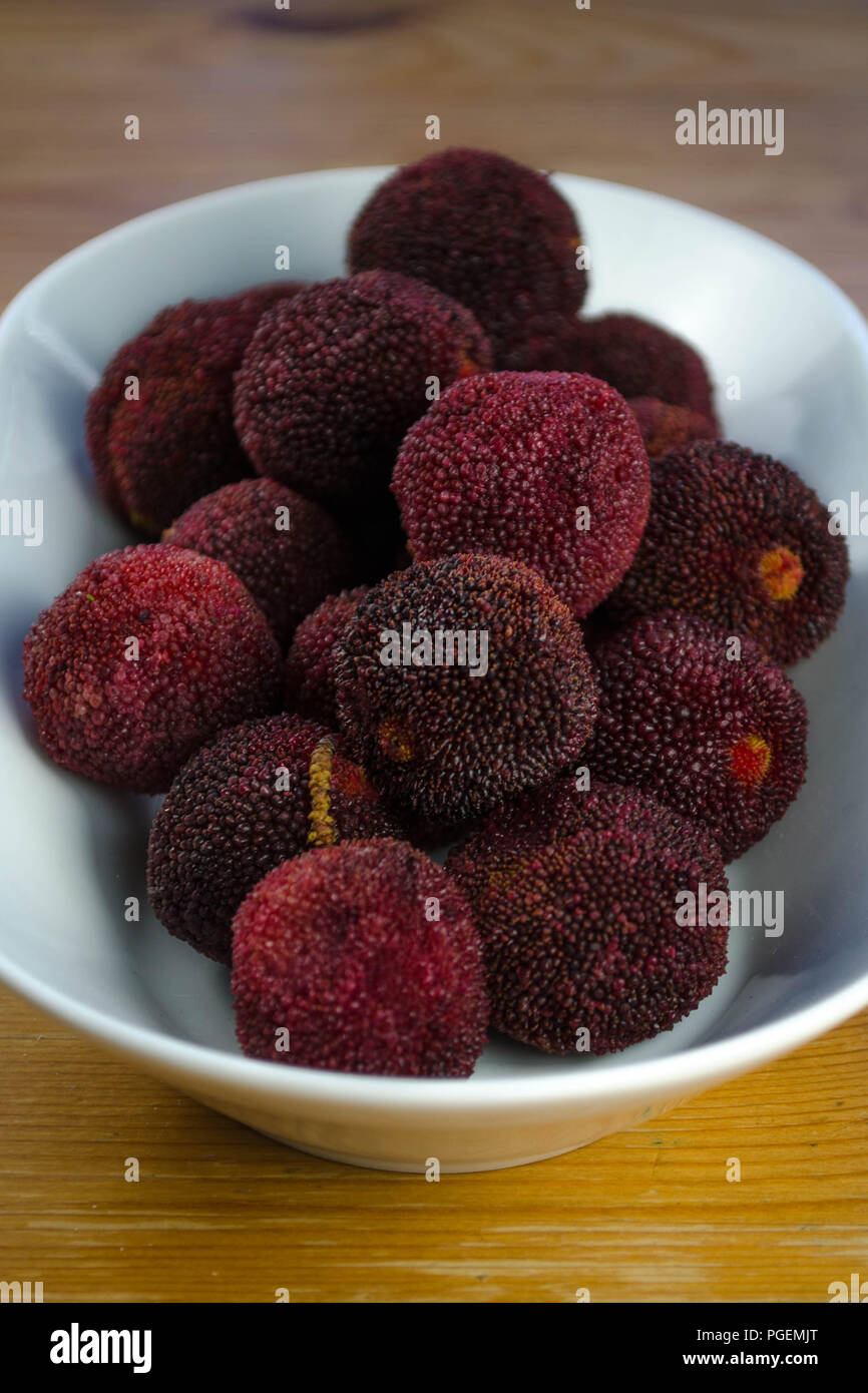 Chinese bayberries (Myrica rubra), aka yangmei, waxberry, or yamamomo.  Whole fruits are shown in a shallow white ceramic bowl. Stock Photo