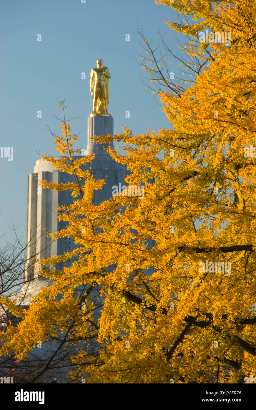 Oregon Pioneer statue (Capitol Dome) with ginkgo tree, State Capitol State Park, Salem, Oregon
