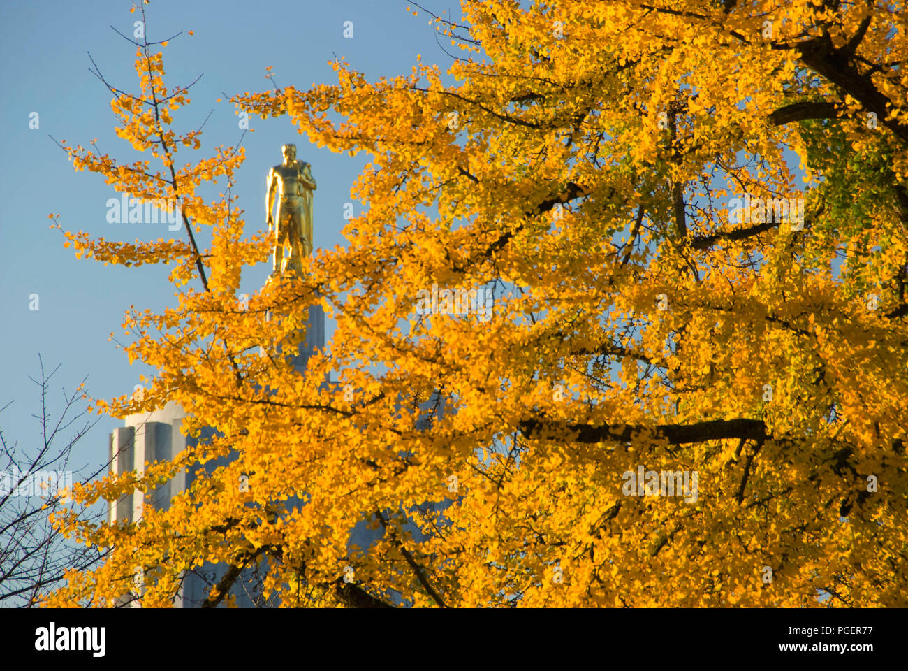 Oregon Pioneer statue (Capitol Dome) with ginkgo tree, State Capitol