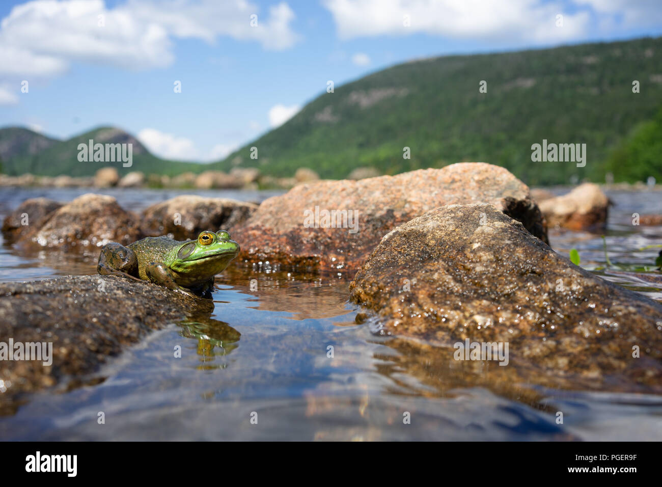 Acadia national park spring hi-res stock photography and images - Alamy