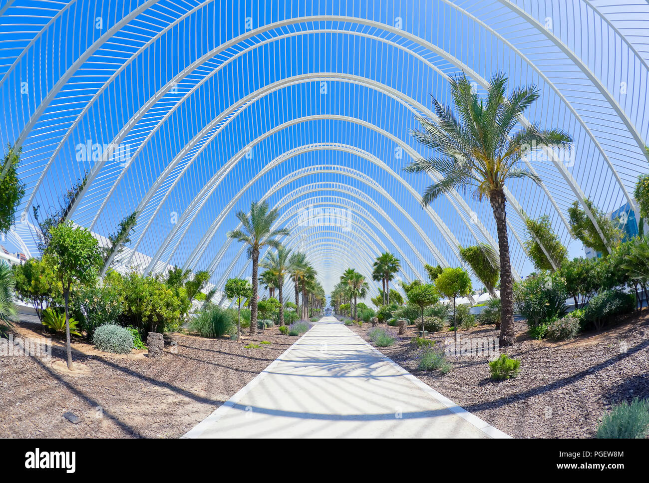 The umbracle valencia hi-res stock photography and images - Alamy