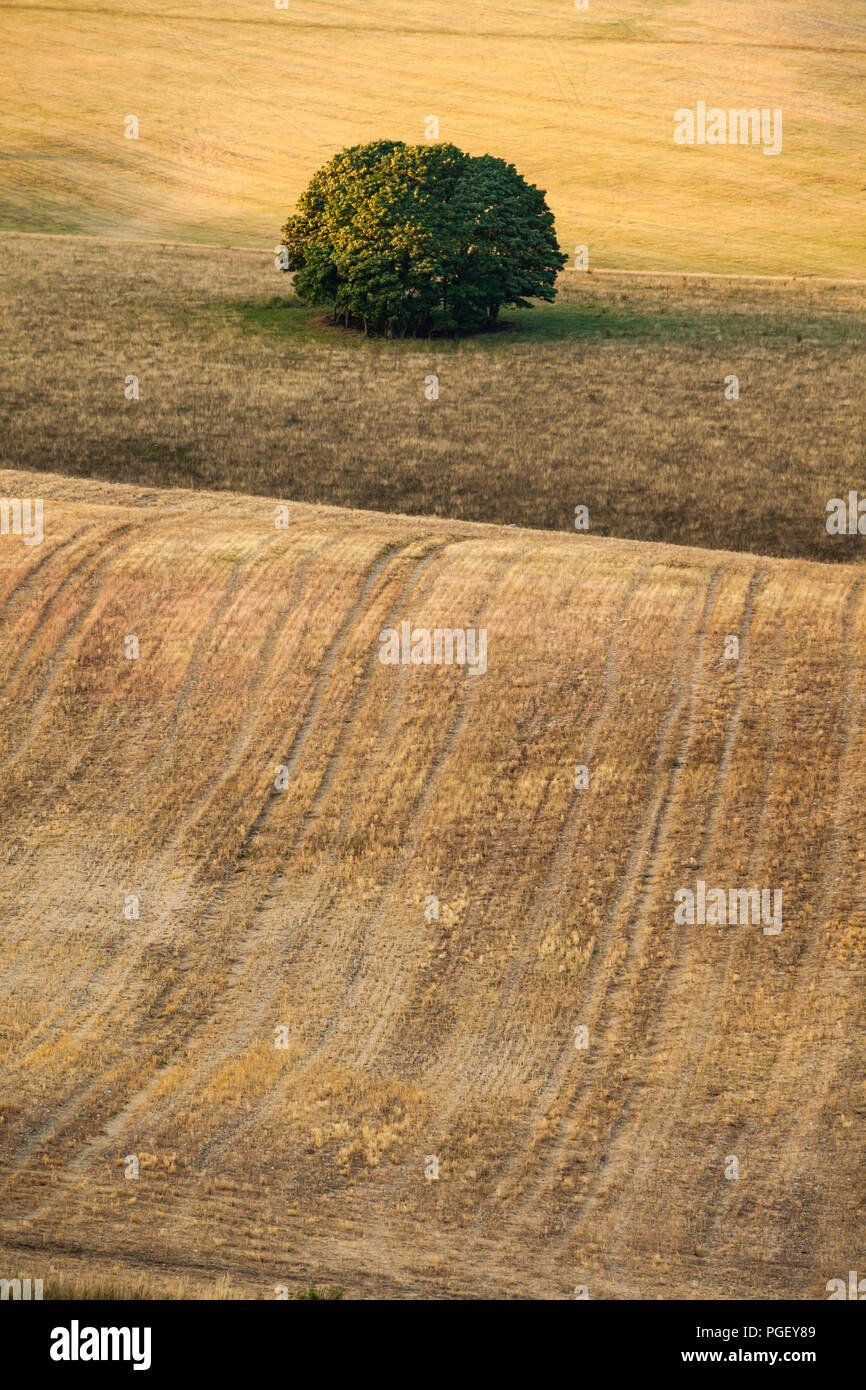 Rural scene summer uk hi-res stock photography and images - Alamy