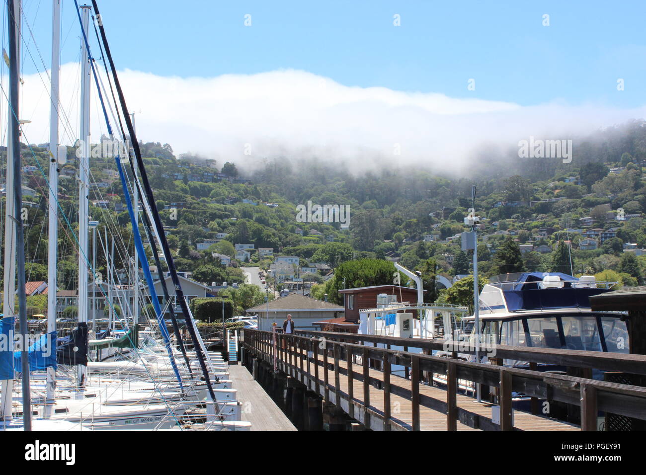 Fog coming in over this hillside approaching Sausalito near San Francisco, California, USA Stock Photo