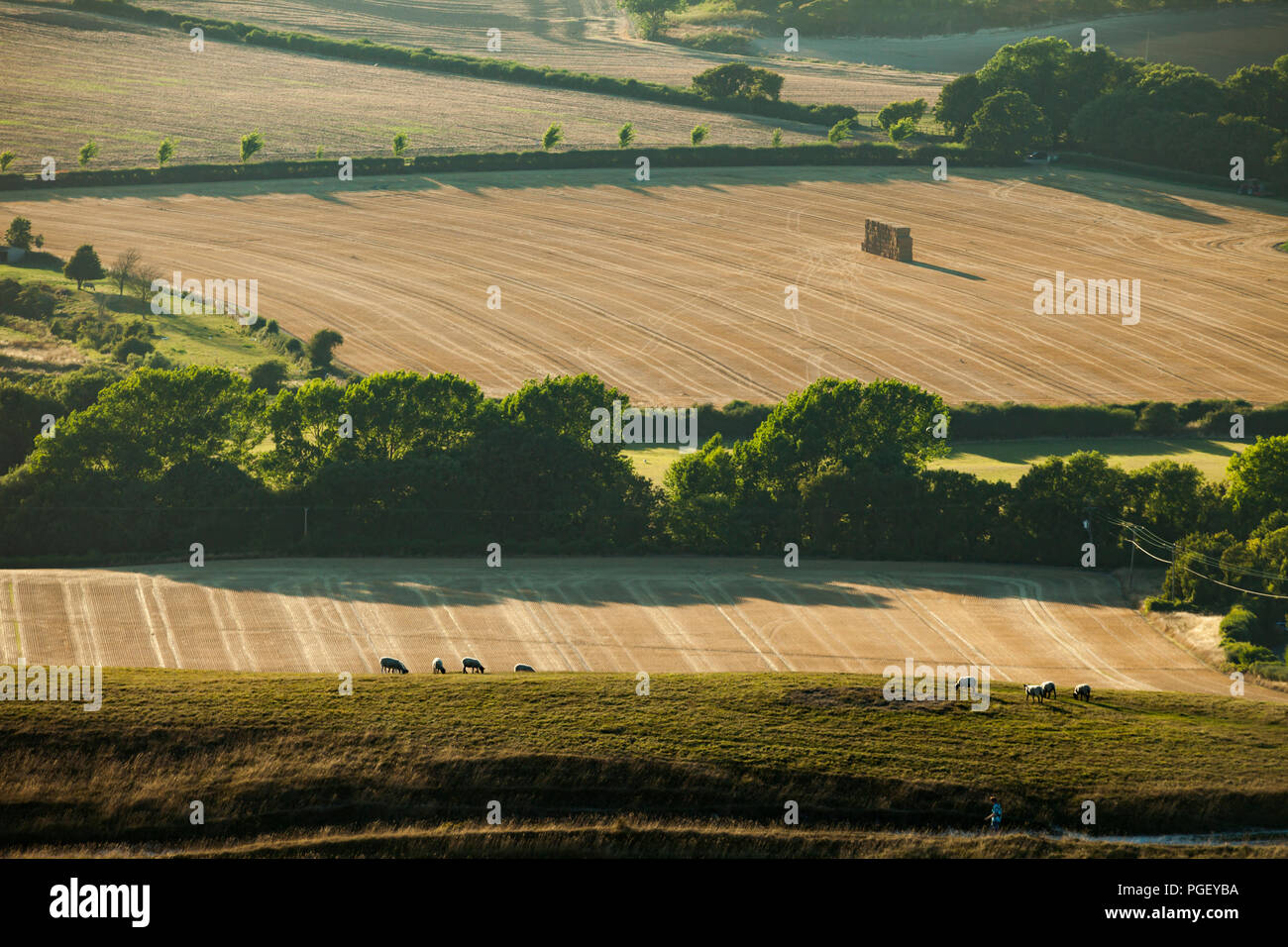 Summer afternoon in South Downs National Park, East Sussex, England