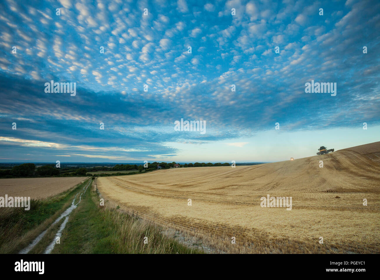 Late summer evening in South Downs National Park, East Sussex, England. Stock Photo