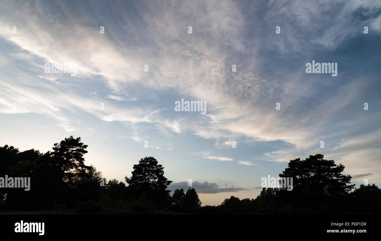 Ashdown formation hi-res stock photography and images - Alamy