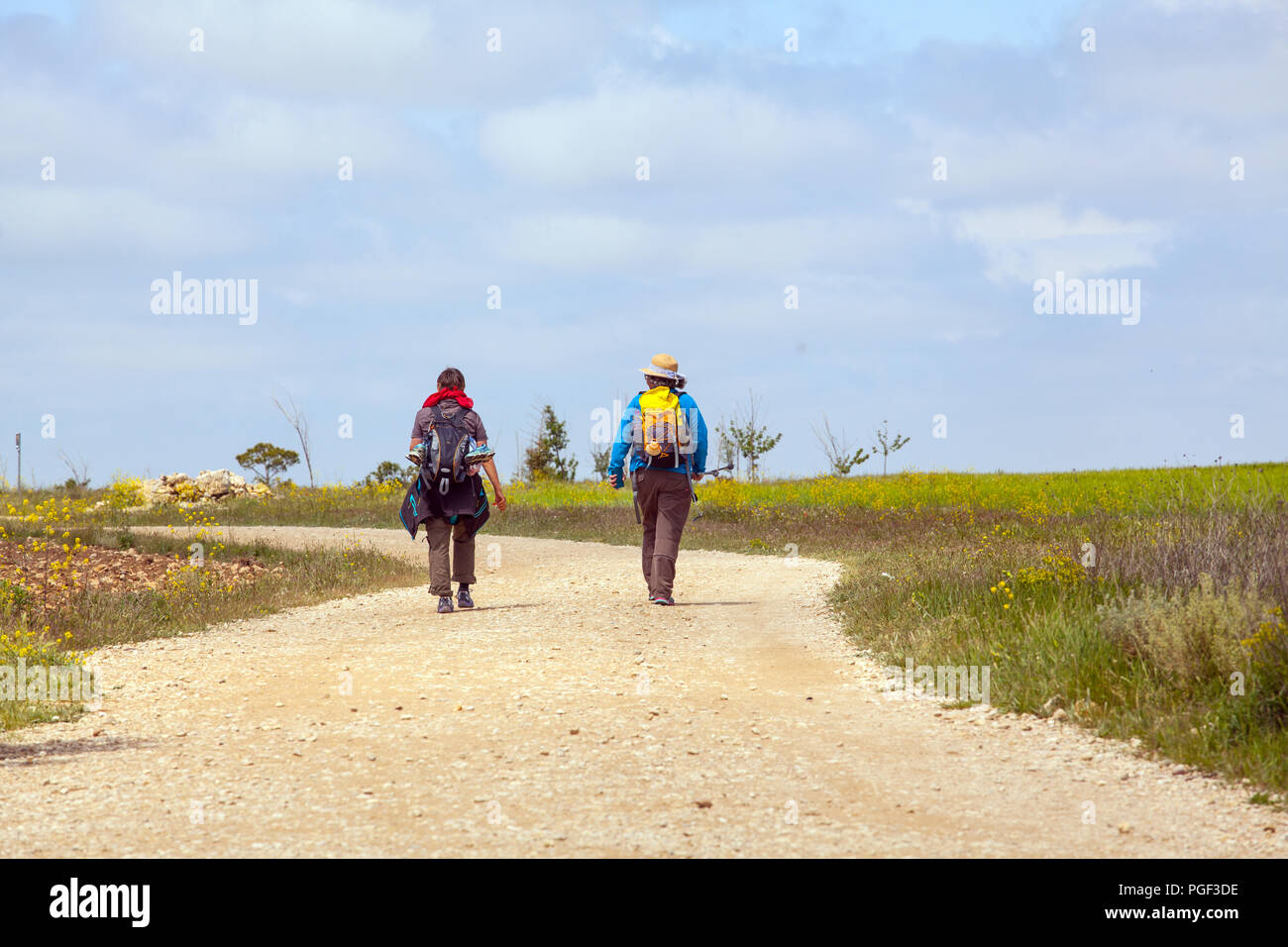 Pilgrims walking the Meseta in central Spain while doing the Camino de Santiago the way of St James pilgrimage route Stock Photo