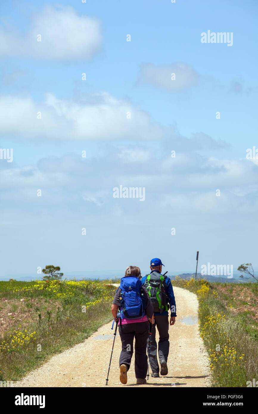 Pilgrims walking the Meseta in central Spain while doing the Camino de Santiago the way of St James pilgrimage route Stock Photo