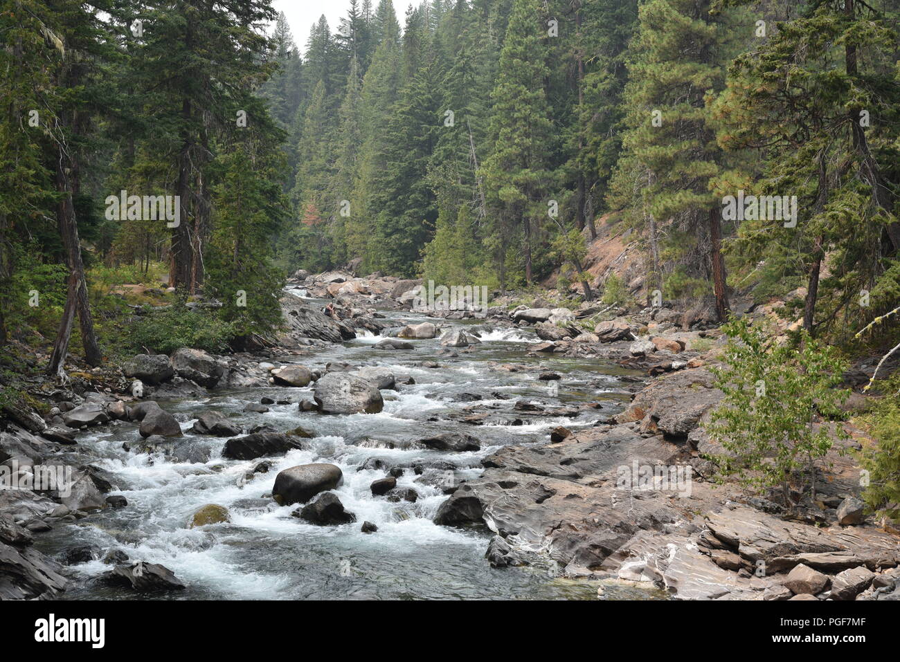 alpine river with small rapids Stock Photo