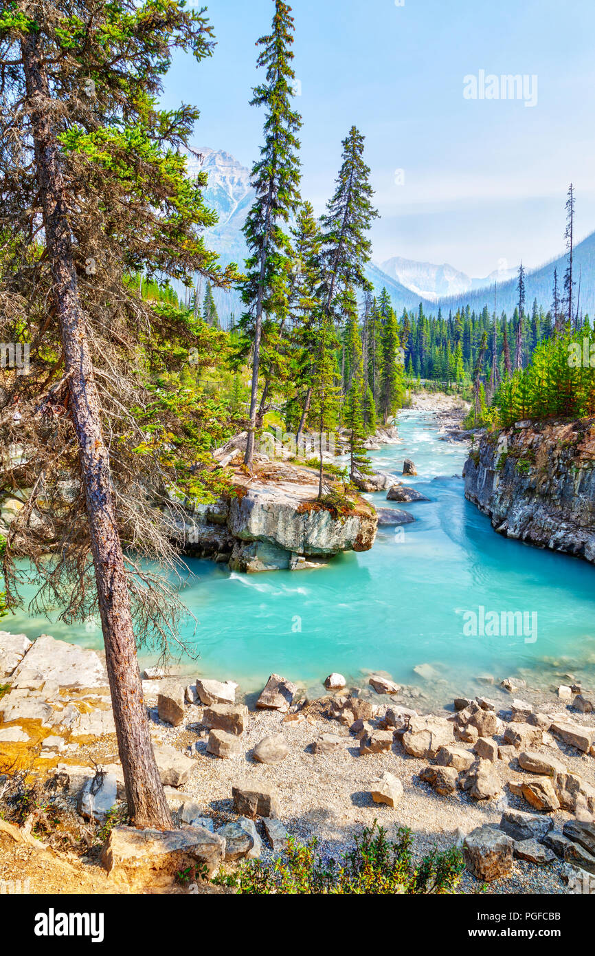 Kootenay national park hi-res stock photography and images - Alamy
