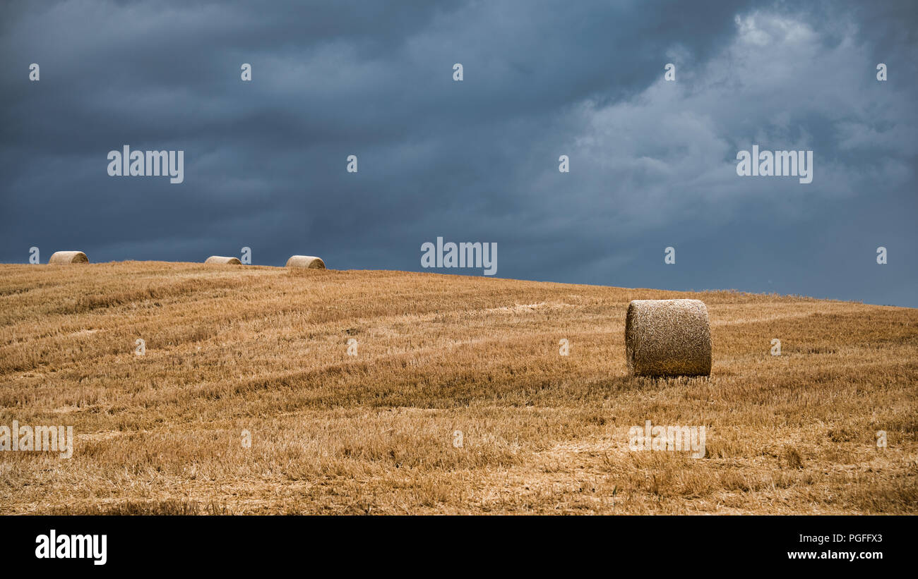 A view of open farmland showing golden bales of straw in a field set against a dark stormy sky. There is one main bale and some on a hill in distance Stock Photo