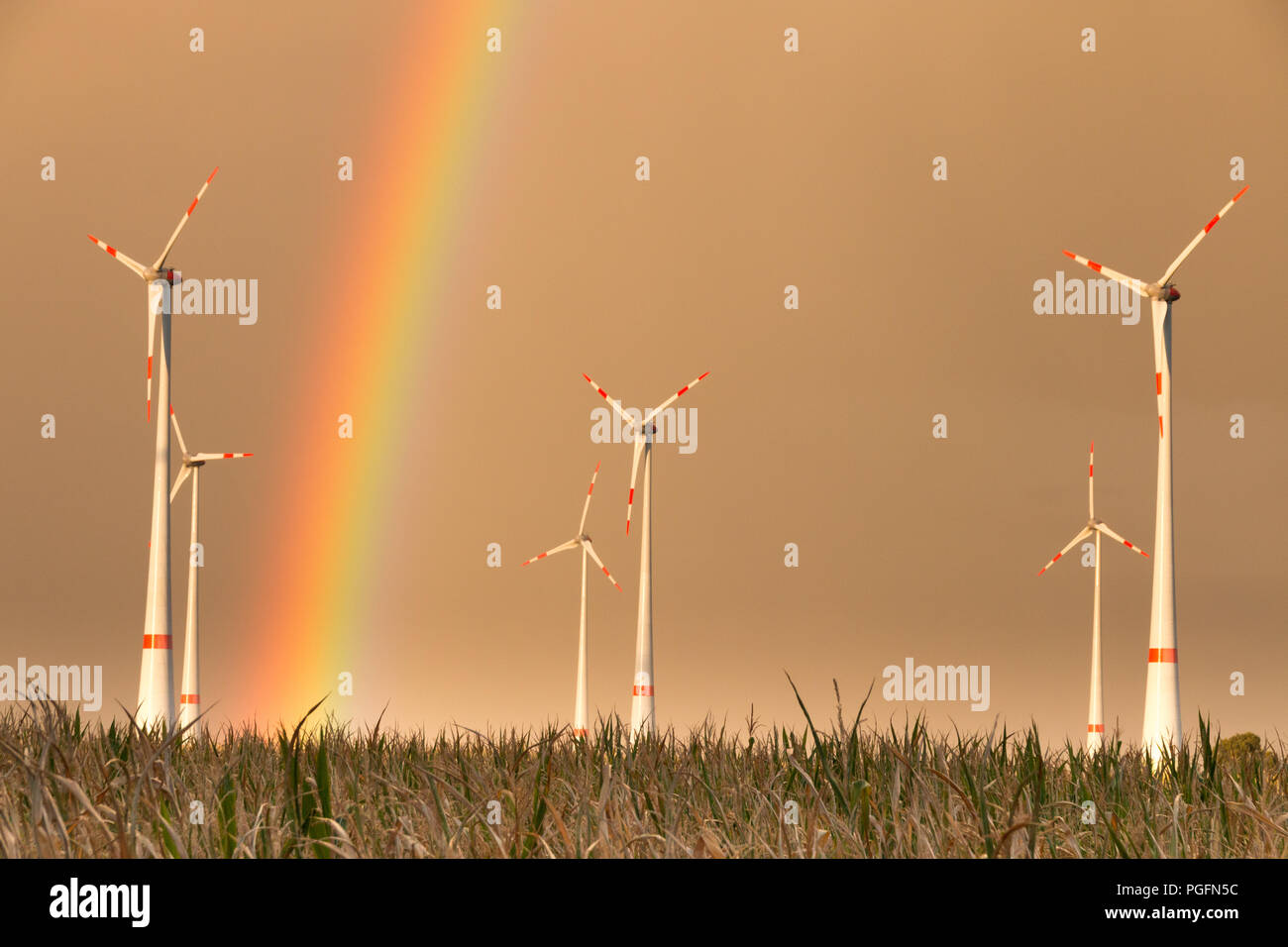 Germany - First storm brings rainbow. TRÜSTEDT, GERMANY - August 25, 2018: The first heavy rain of the season produces a rainbow behind wind turbines on a dry field in Altmark near Trüstedt, Germany. Credit: Mattis Kaminer/Alamy Live News Stock Photo
