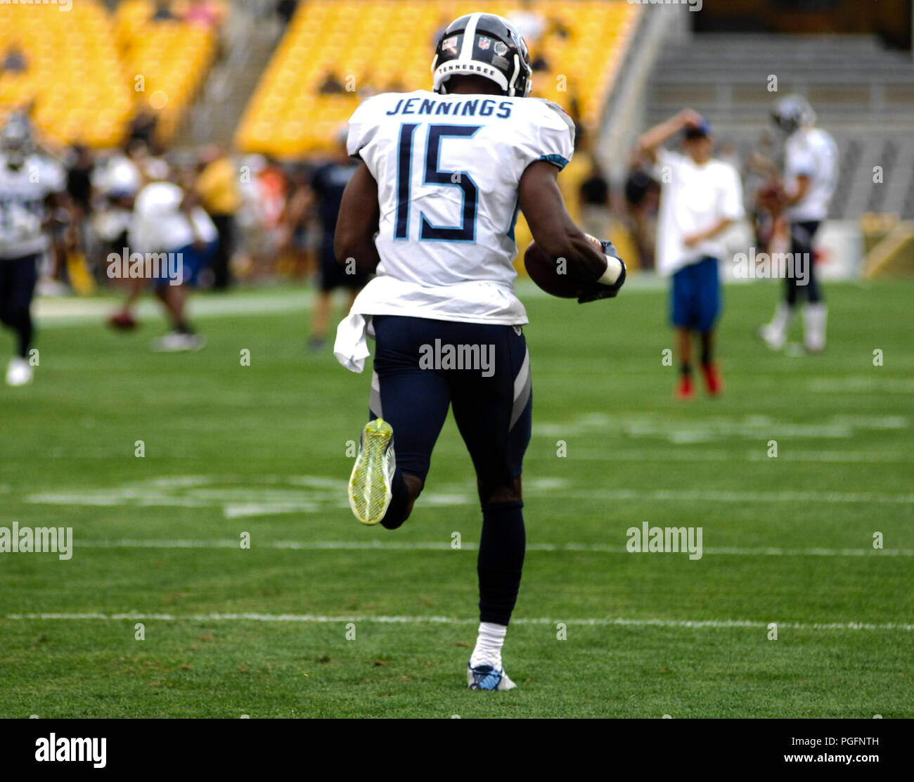 tennessee titans 15