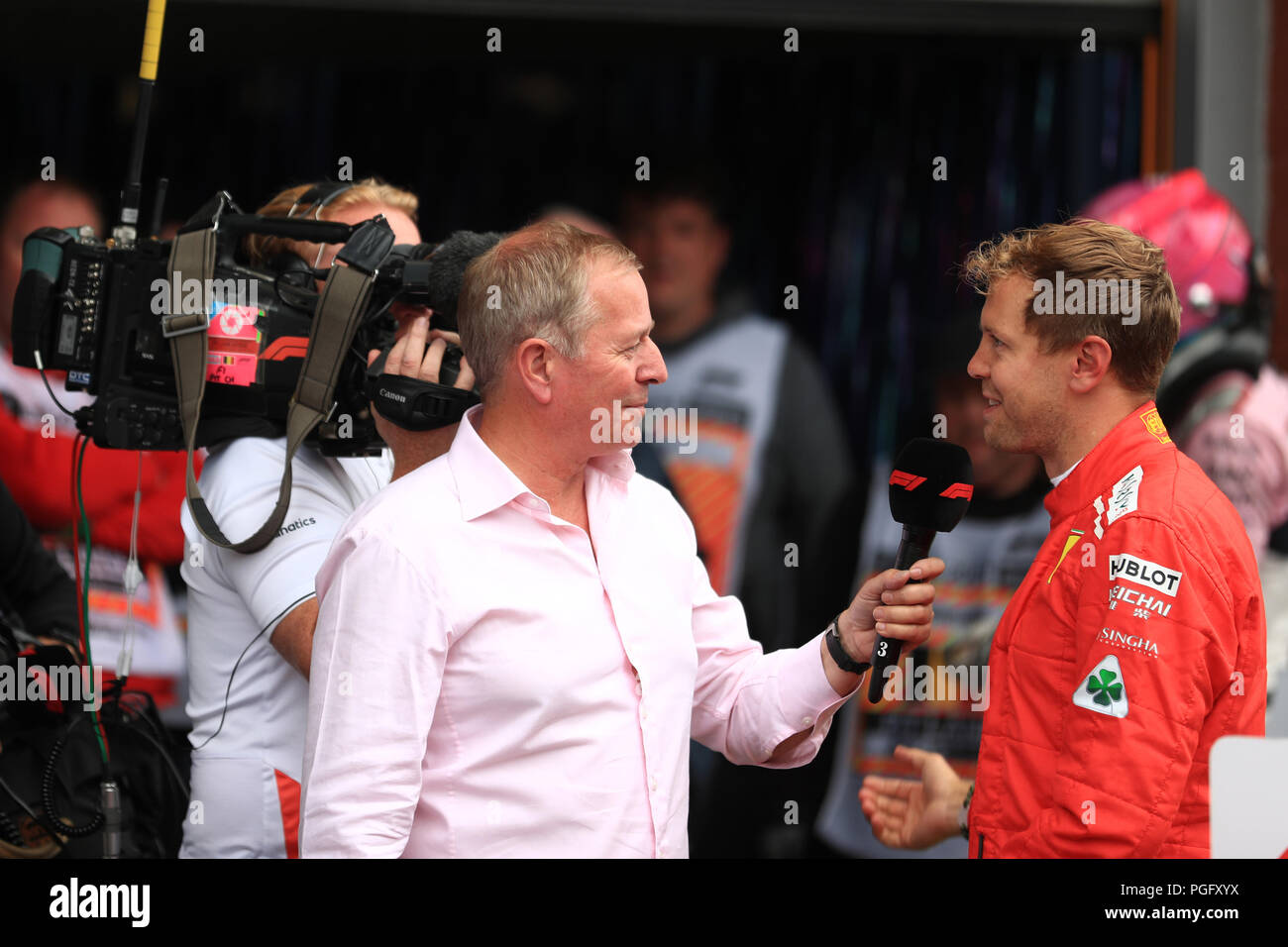 martin brundle sebastian vettel