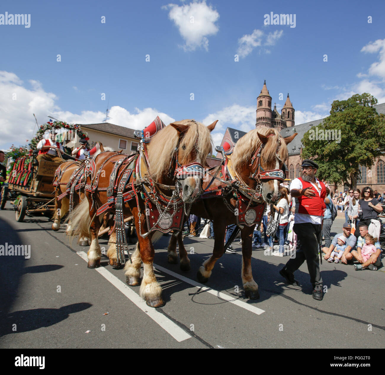 Worms, Germany. 26th August 2018. The Eichbaum brewery uses a vintage horse-drawn cart with beer barrel. The first highlight of the 2018 Backfischfest was the big parade through the city of Worms with over 70 groups and floats. Community groups, music groups and businesses from Worms and further afield took part. Credit: Michael Debets/Alamy Live News Stock Photo