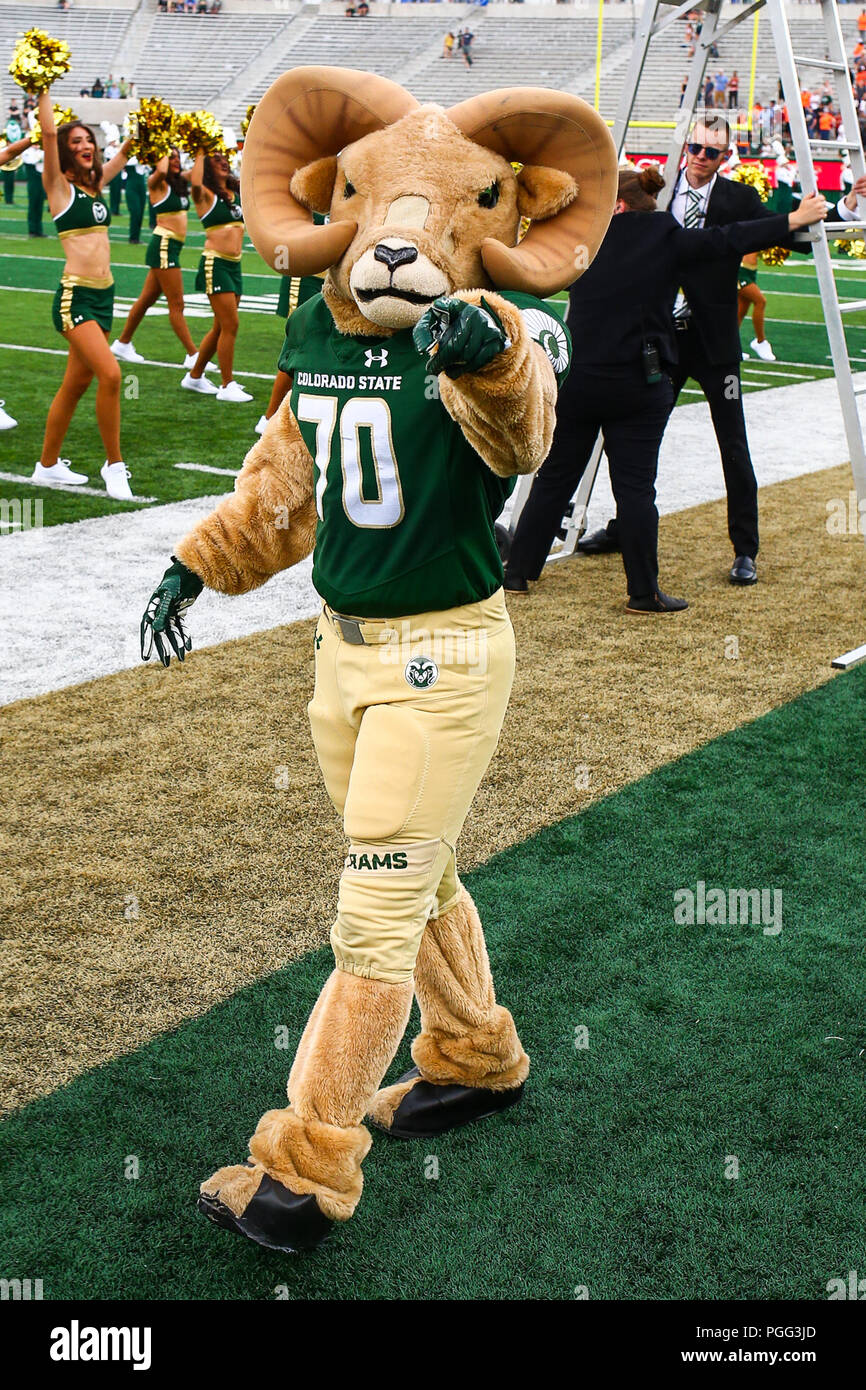 August 25, 2018: Colorado State mascot Cam the Ram takes the field s before  the game against Hawaii at Canvas Stadium in Fort Collins, CO. Hawaii won  43-34 Stock Photo - Alamy