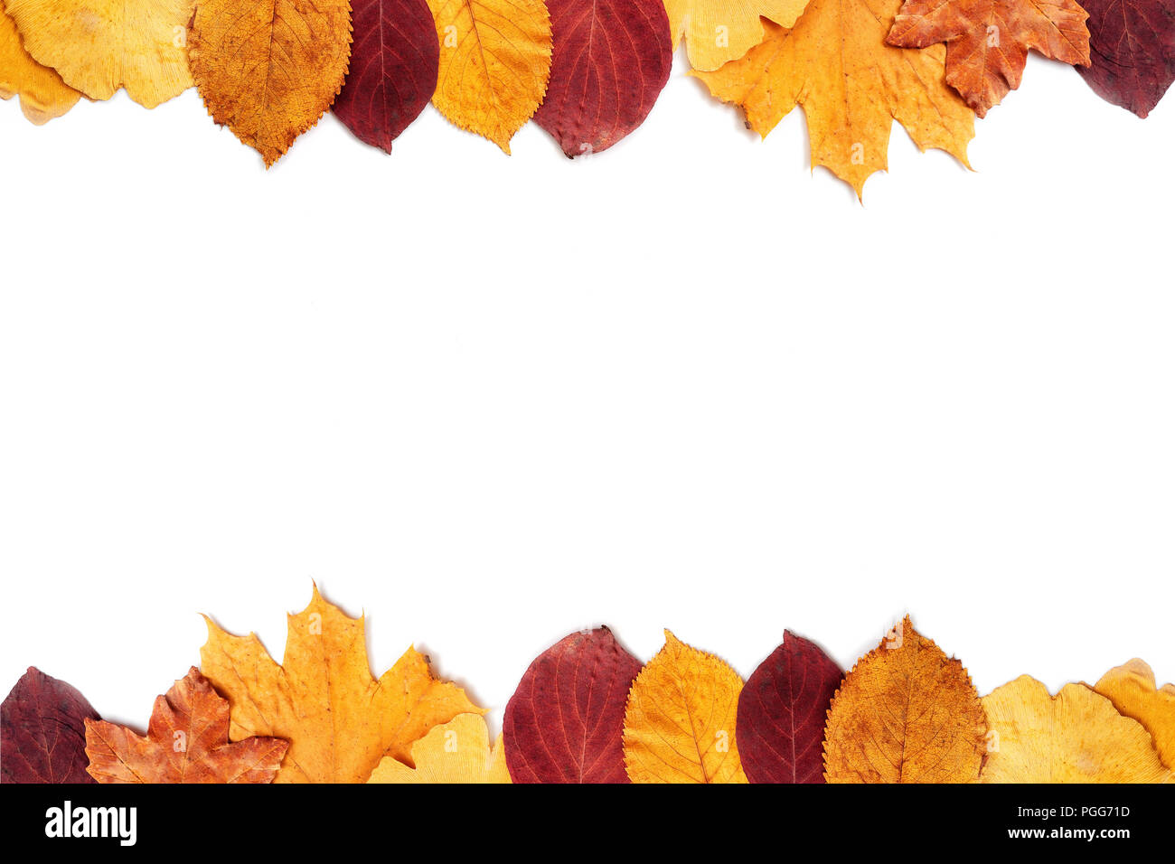 Top view of autumn leaves on white background Stock Photo - Alamy