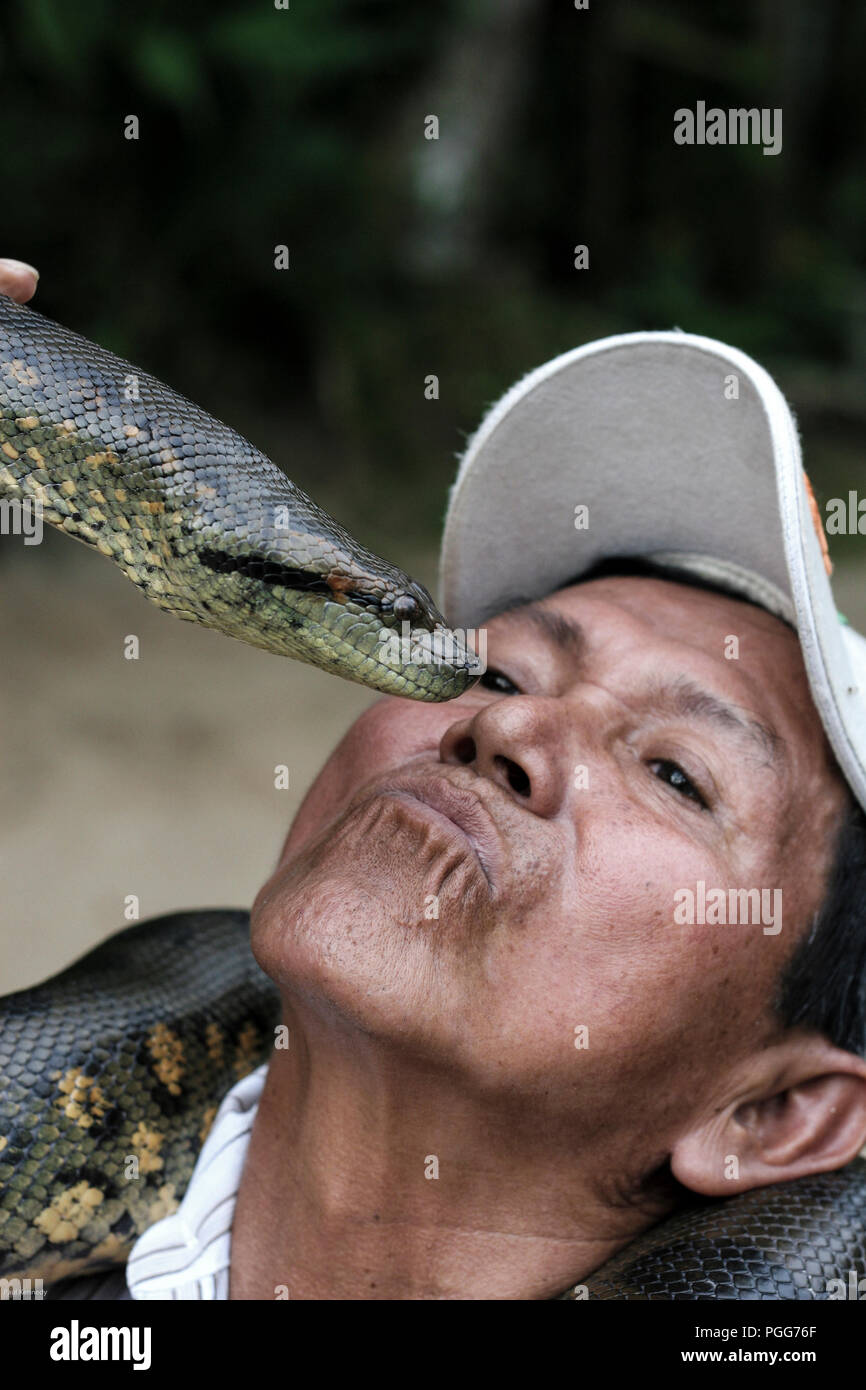 Man kissing his domesticated Anaconda (Eunectes Murinus) at Laguna Quistococha in Iquitos, Peru Stock Photo