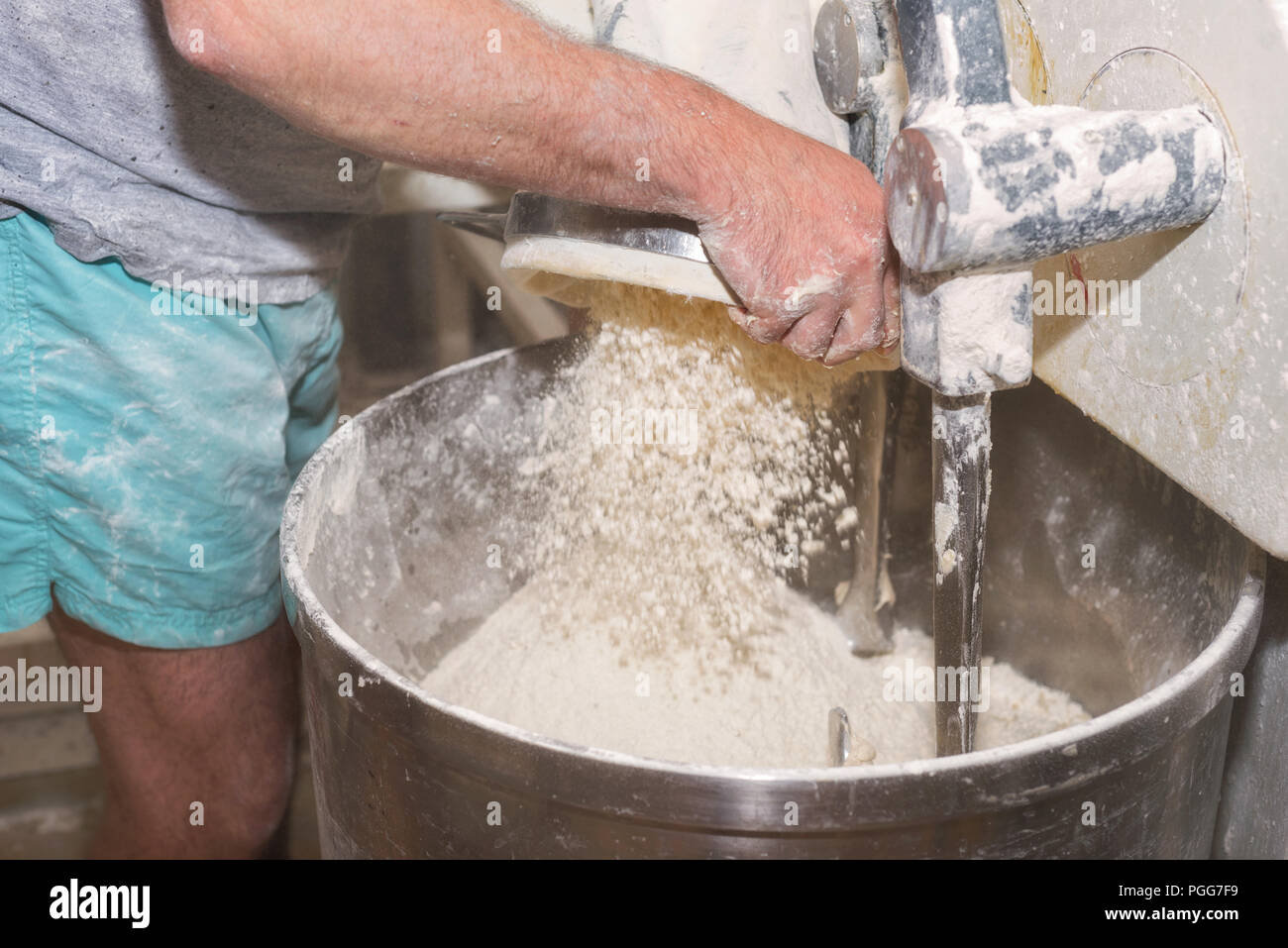 flour dough mixer