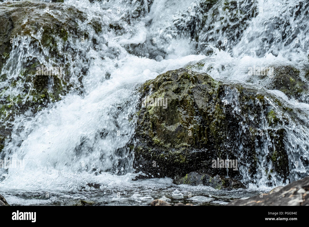 Stream shallow water in montana hi-res stock photography and images - Alamy