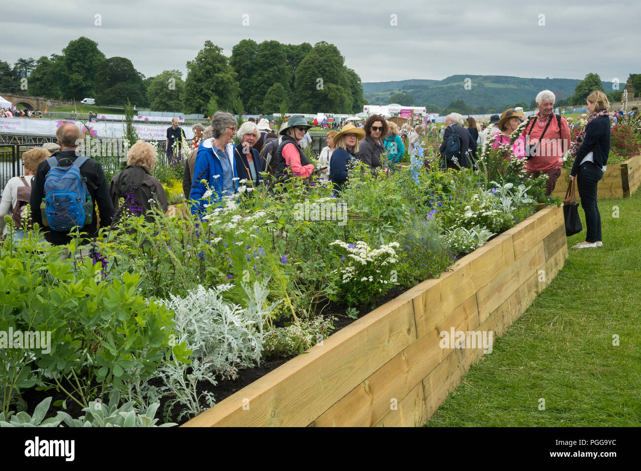 People View Flowering Plants In Raised Beds Long Border