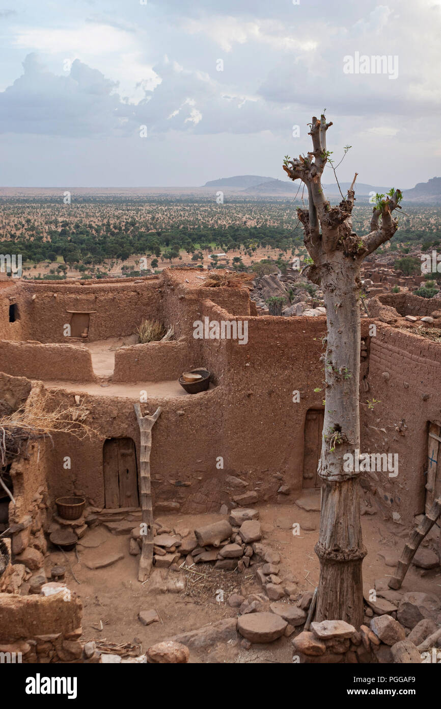 A traditional Dogon village with mud houses a Dogon ladder and a baobab