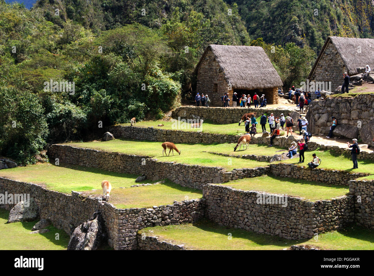 Nice photos machu picchu hi-res stock photography and images - Alamy