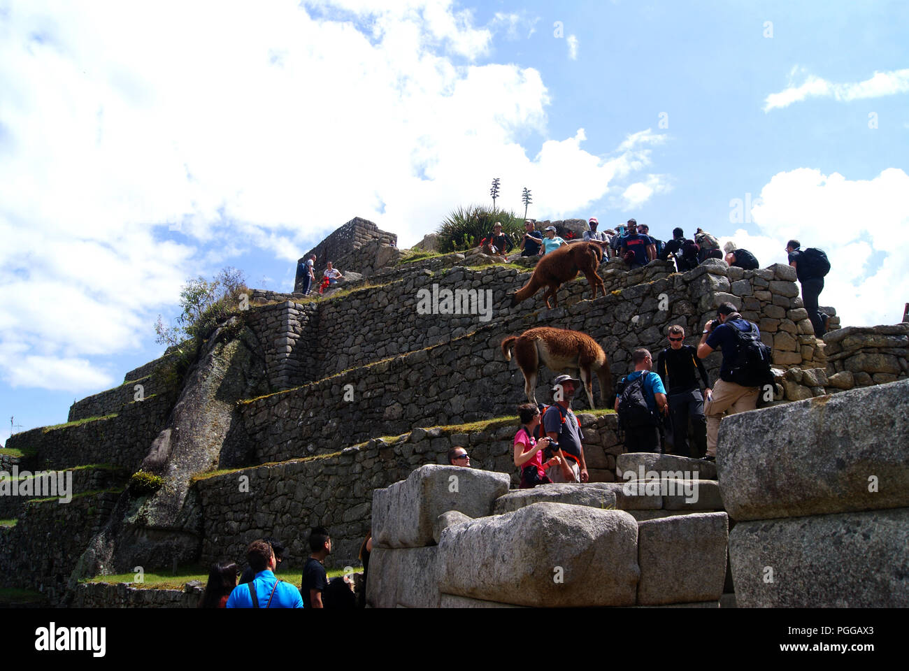 Machu Picchu Stock Photo