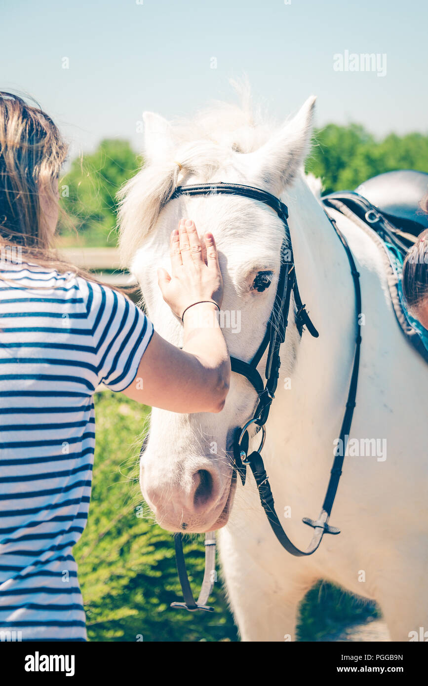 Young woman caressing beautiful white horse. Friendship, partnership and trust concept. Stock Photo