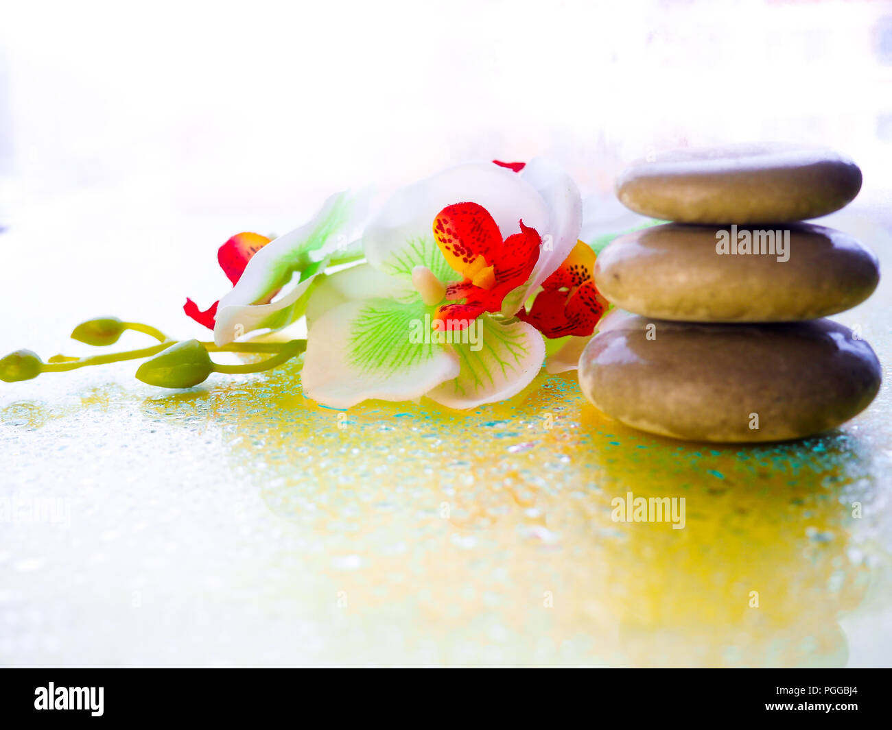 Spa pink orchid with massage stones on blue wooden background Stock Photo -  Alamy