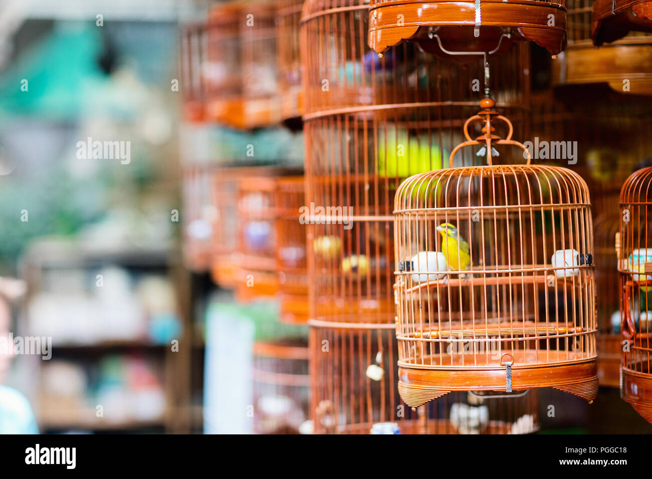 Birds in cages for sale at Birds market, Kowloon Hong Kong, popular
