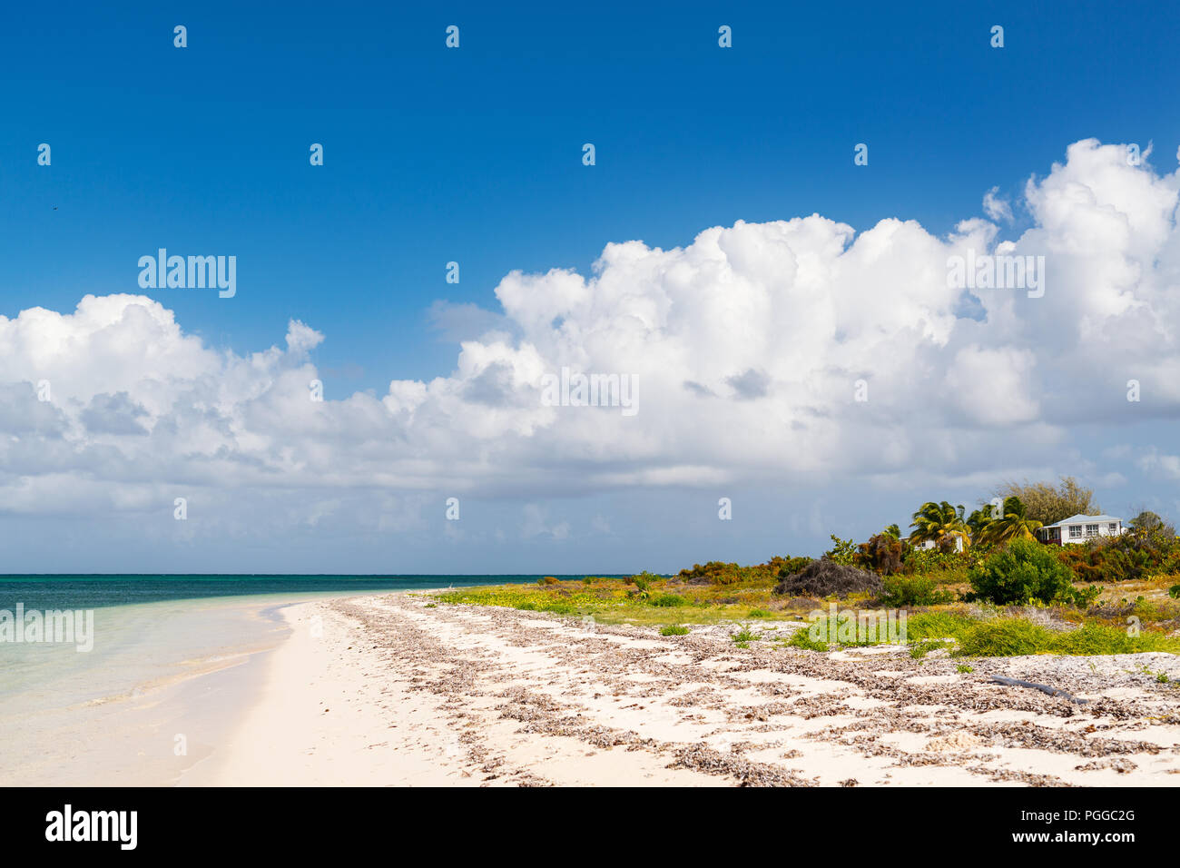 Idyllic tropical beach on Barbuda island in Caribbean with white sand, turquoise ocean water and blue sky Stock Photo