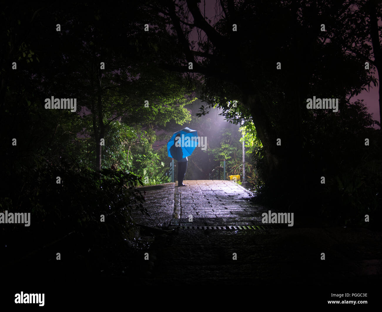Person with blue umbrella waiting in the dark under a streetlight in a park in a rainy night Stock Photo