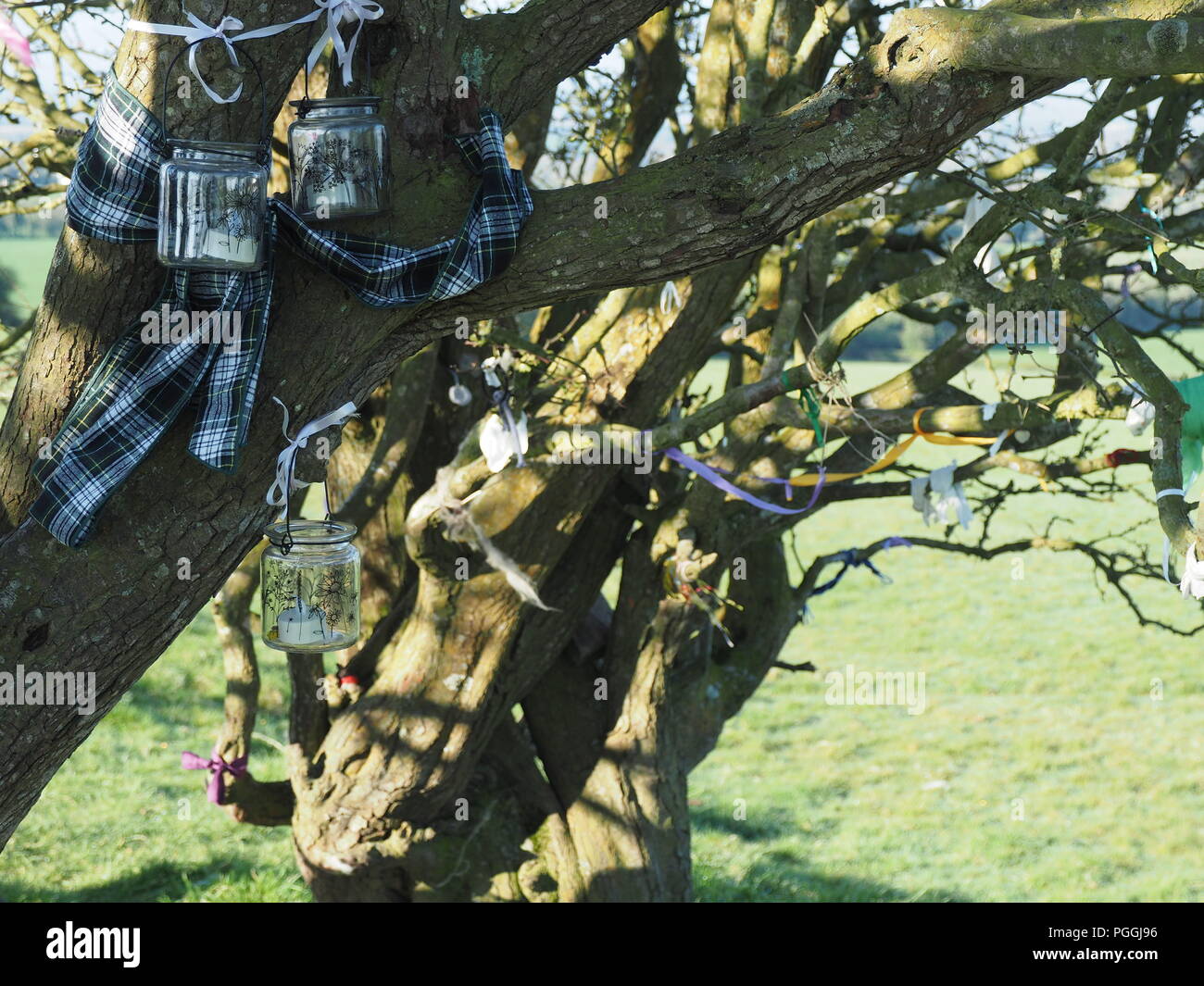 Fairy tree in Irland. One of old celtic believes. Stock Photo