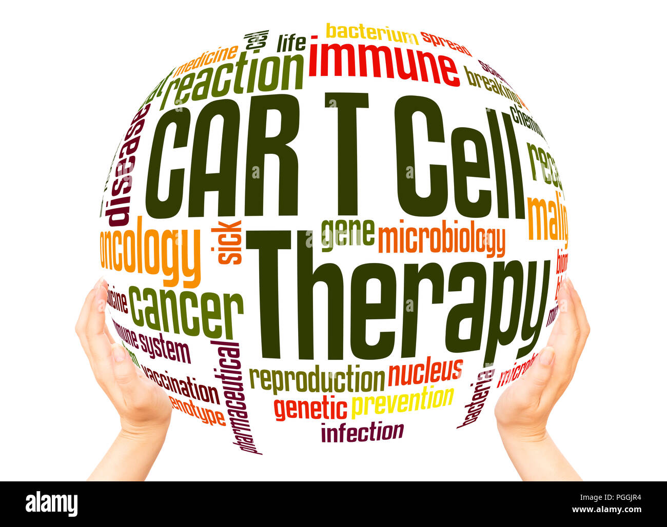 CAR T Cell Therapy word cloud sphere concept on white background. Stock Photo