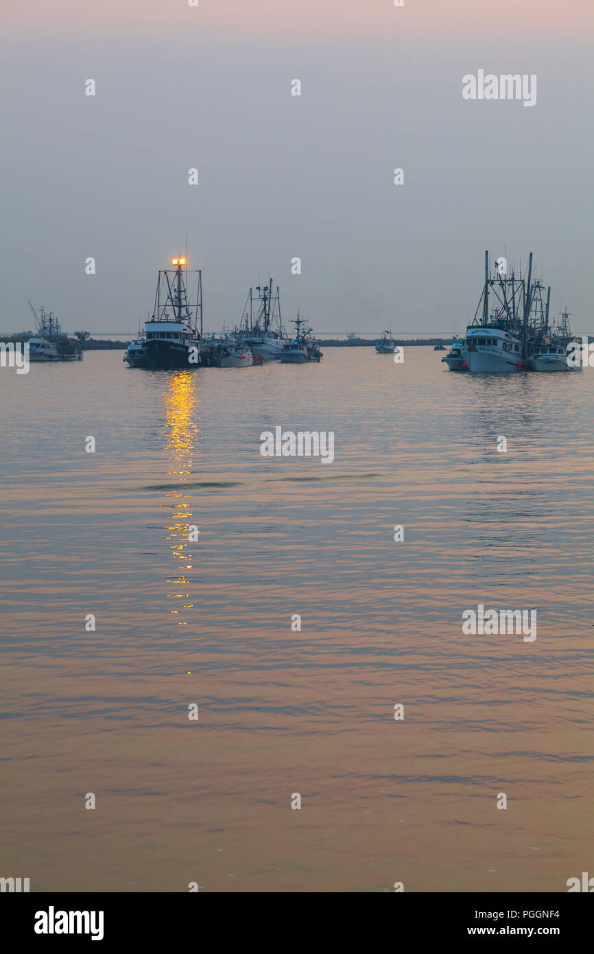 Commercial fishing boats returning to harbour bringing their catch of Sockeye Salmon from the mouth of the Fraser River in Steveston, British Columbia Stock Photo