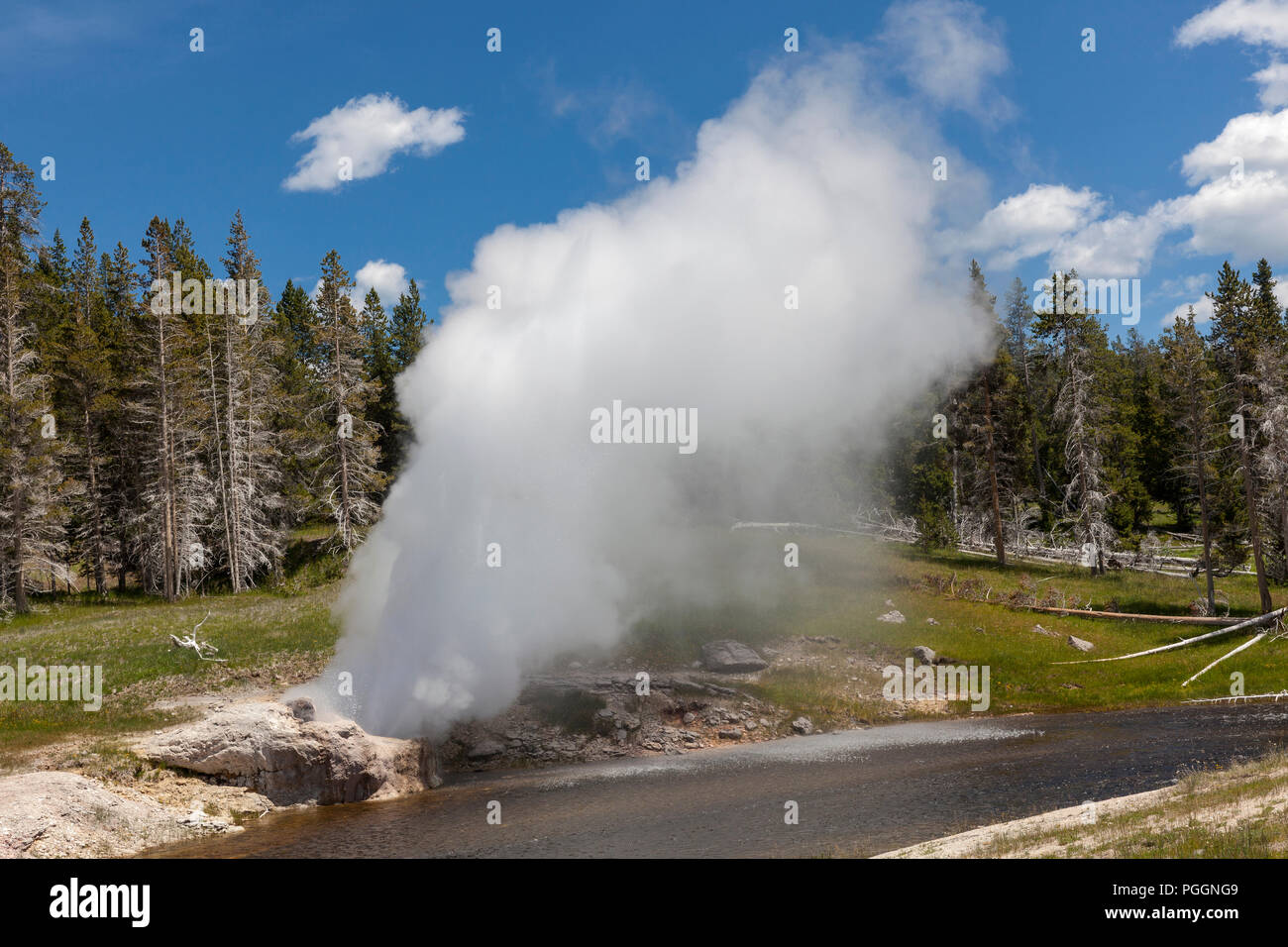 WY02734-00...WYOMING - Riverside Geyser in the Upper Geysed Basin of Yellowstone National Park. Stock Photo