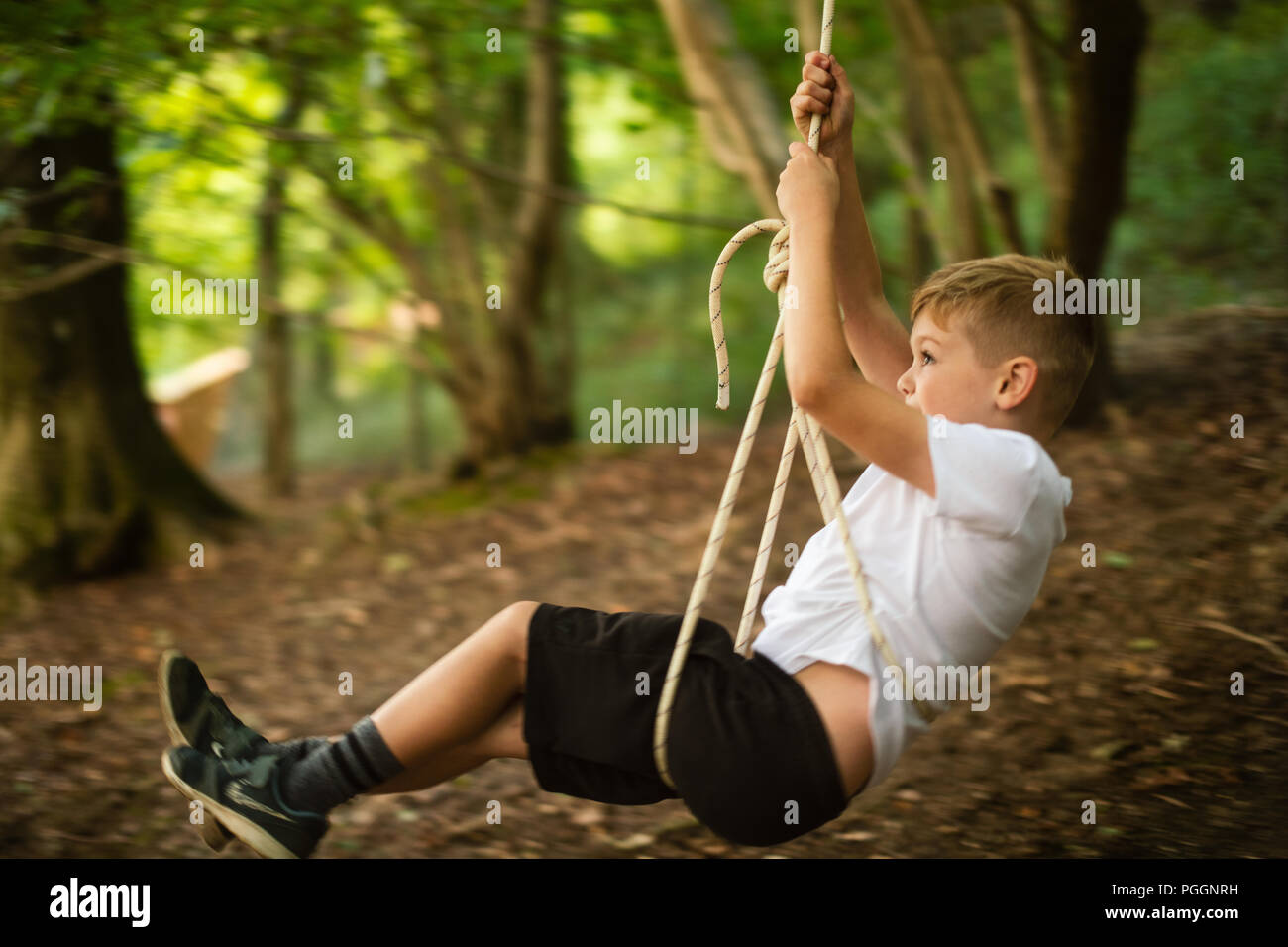 Boy swinging on rope swing Stock Photo