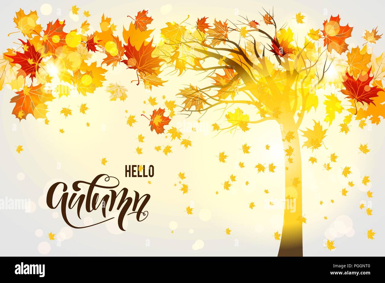 Fall tree background Stock Vector Image & Art Alamy