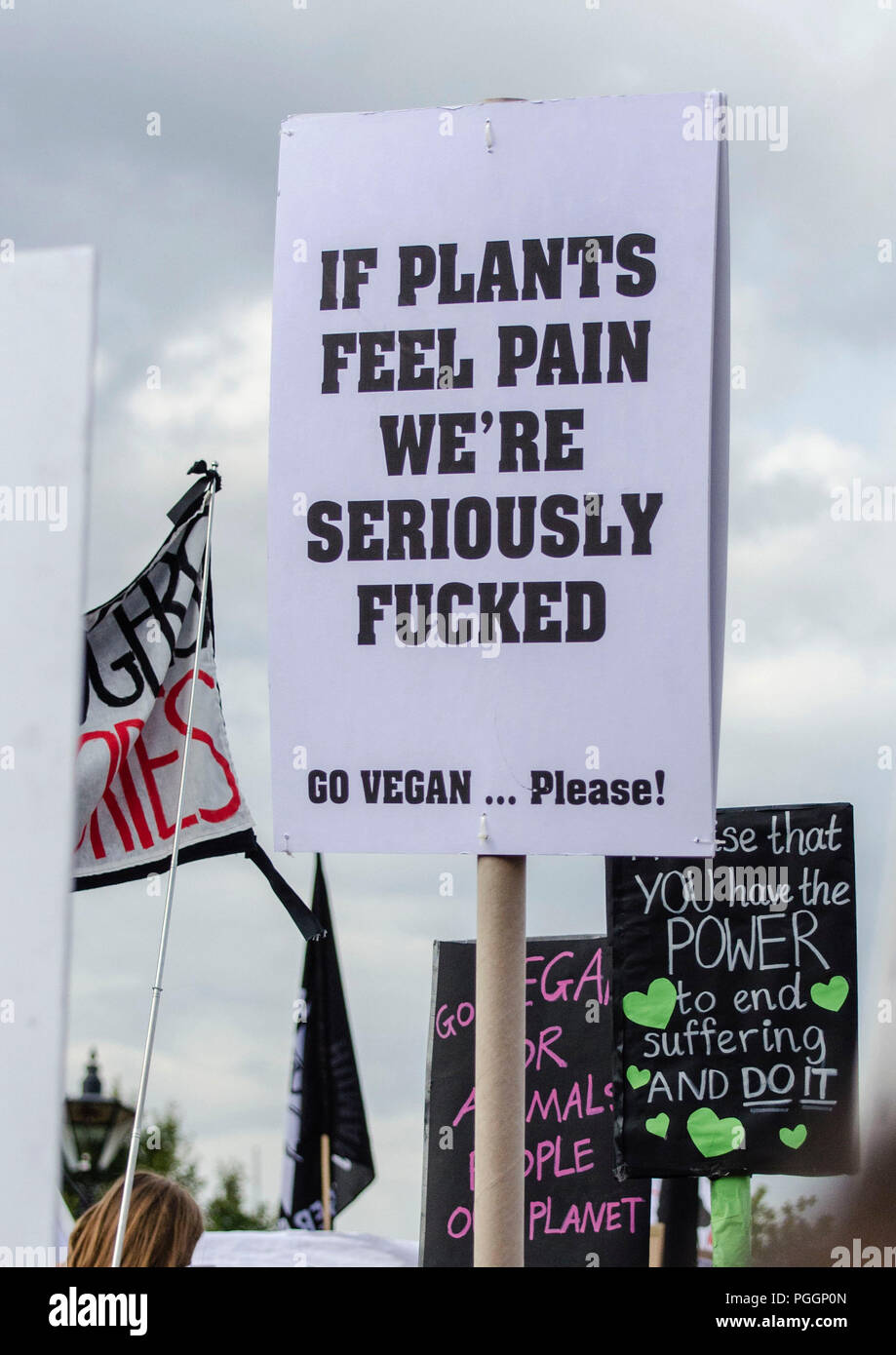 Plants Have Feelings Stock Photo Alamy