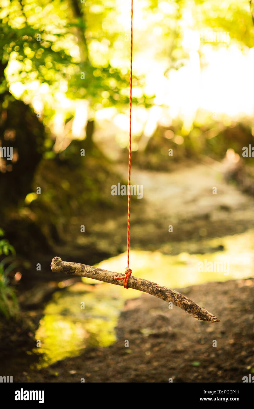 Rope swing hanging over river Stock Photo Alamy