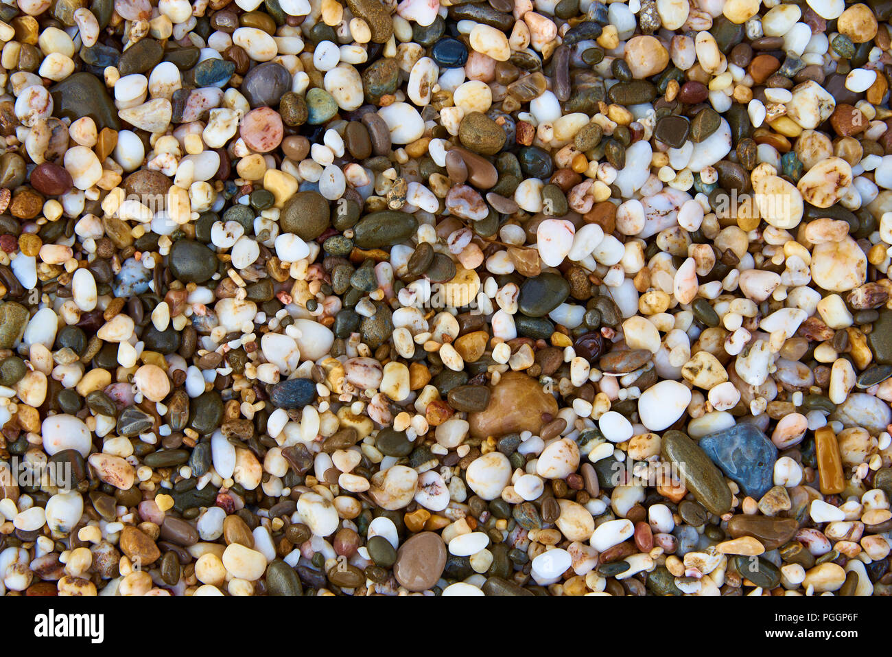 Background texture of wet multicolored stones on the beach. Stock Photo