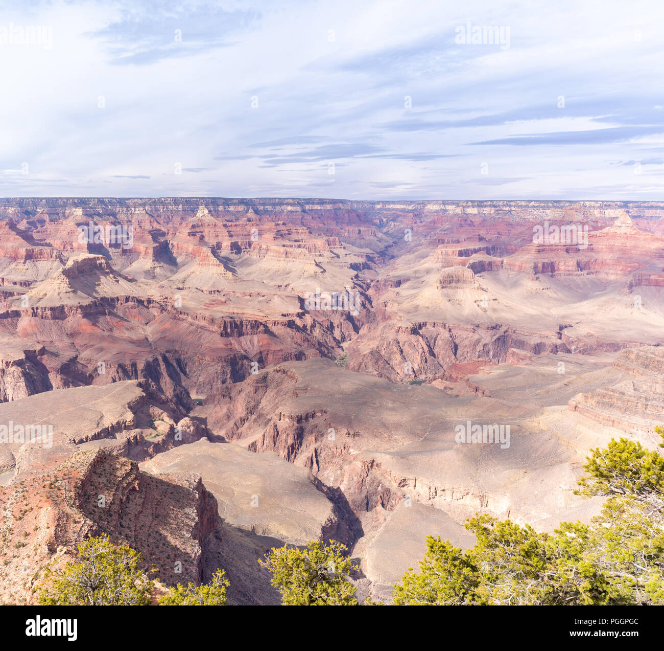 South rim of Grand Canyon in Arizona USA Stock Photo - Alamy