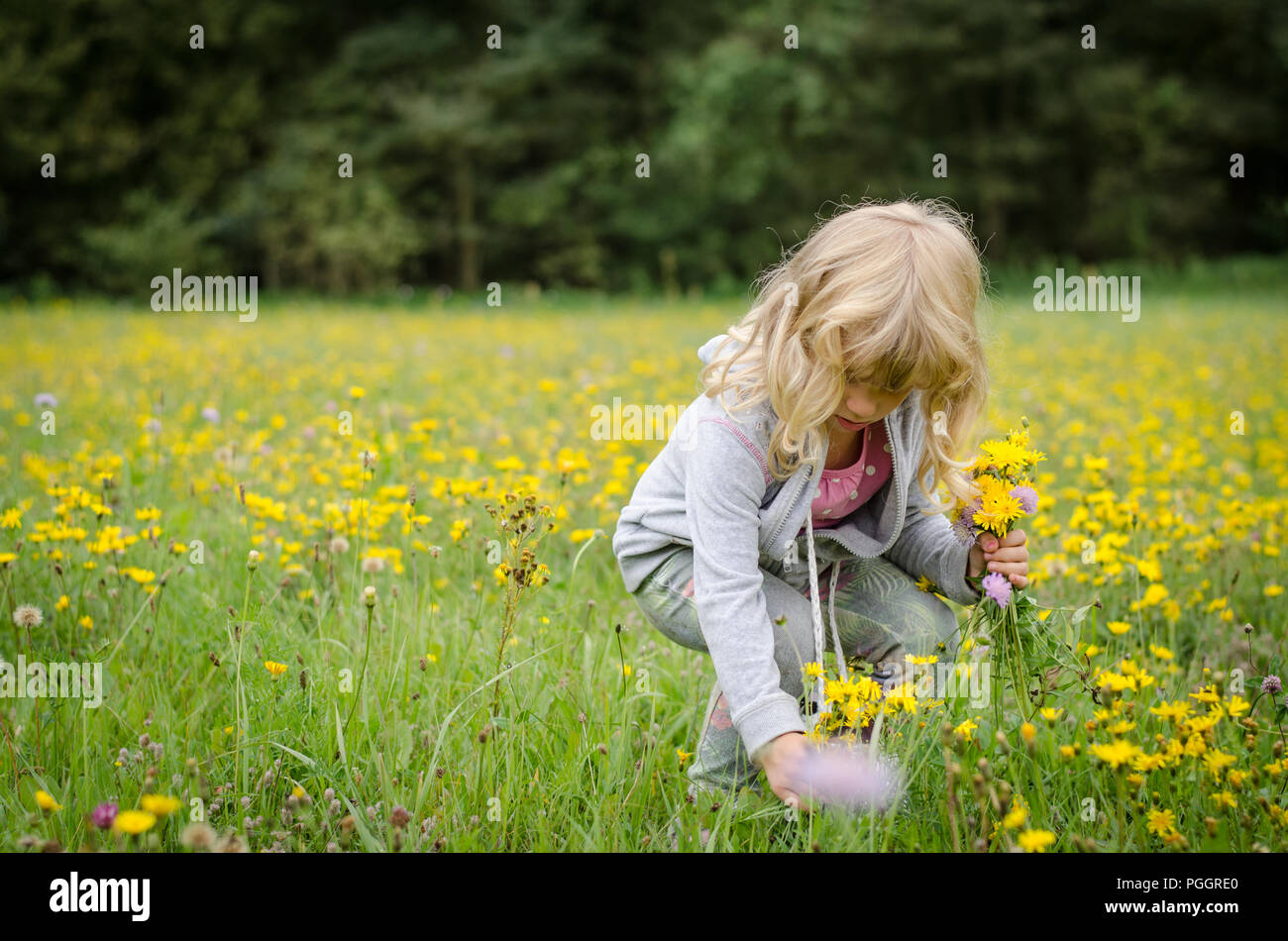Kid smell flowers hi-res stock photography and images - Alamy