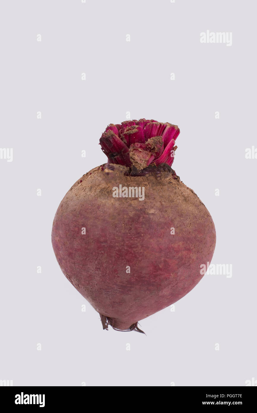 Ripe raw beetroot isolated on white. One single beet, close up Stock ...