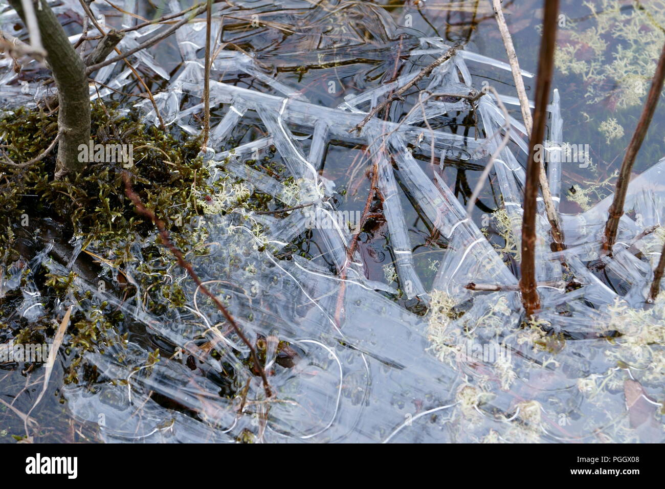 Ice Puddle Transparent Transparent ice hi-res stock photography and images - Alamy