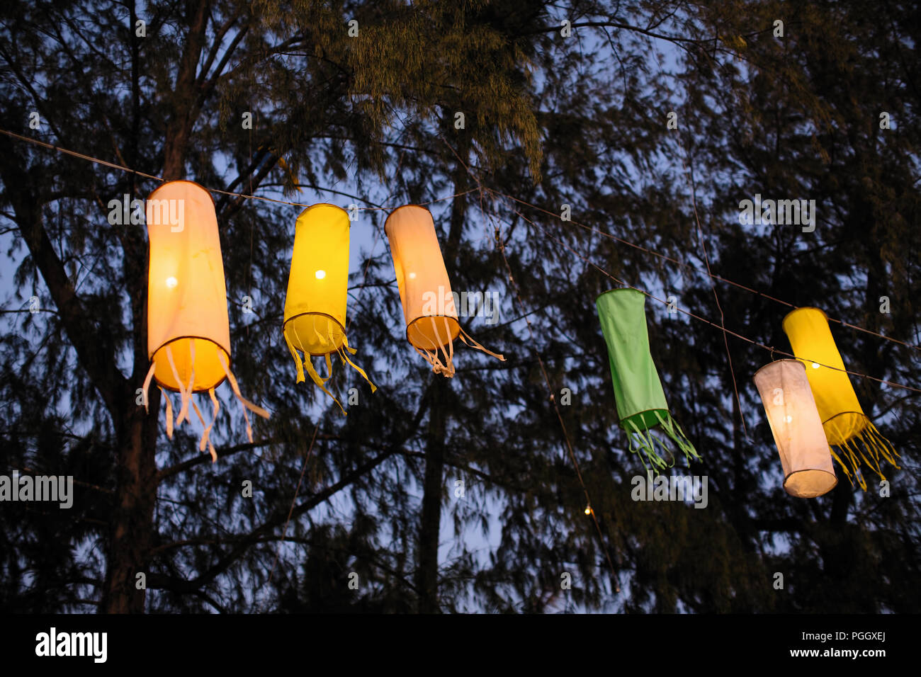 Chinese lanterns are hung in the trees at night Stock Photo - Alamy