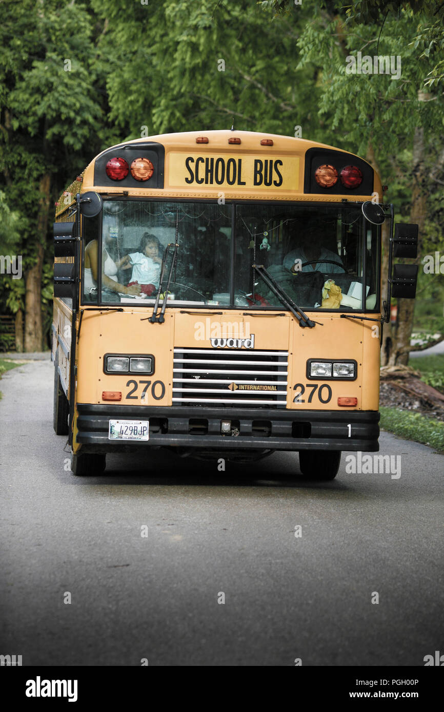 A school bus drops off children along the shores of Lake Peten Itza in Guatemala Stock Photo Alamy