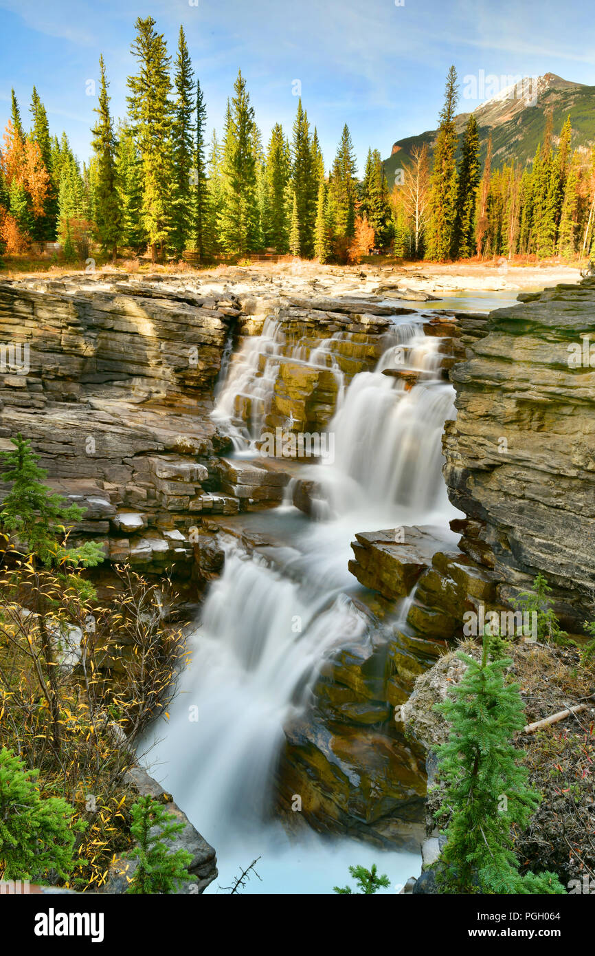 Athabasca Falls in autumn, Jasper National Park, Alberta, Canada Stock Photo