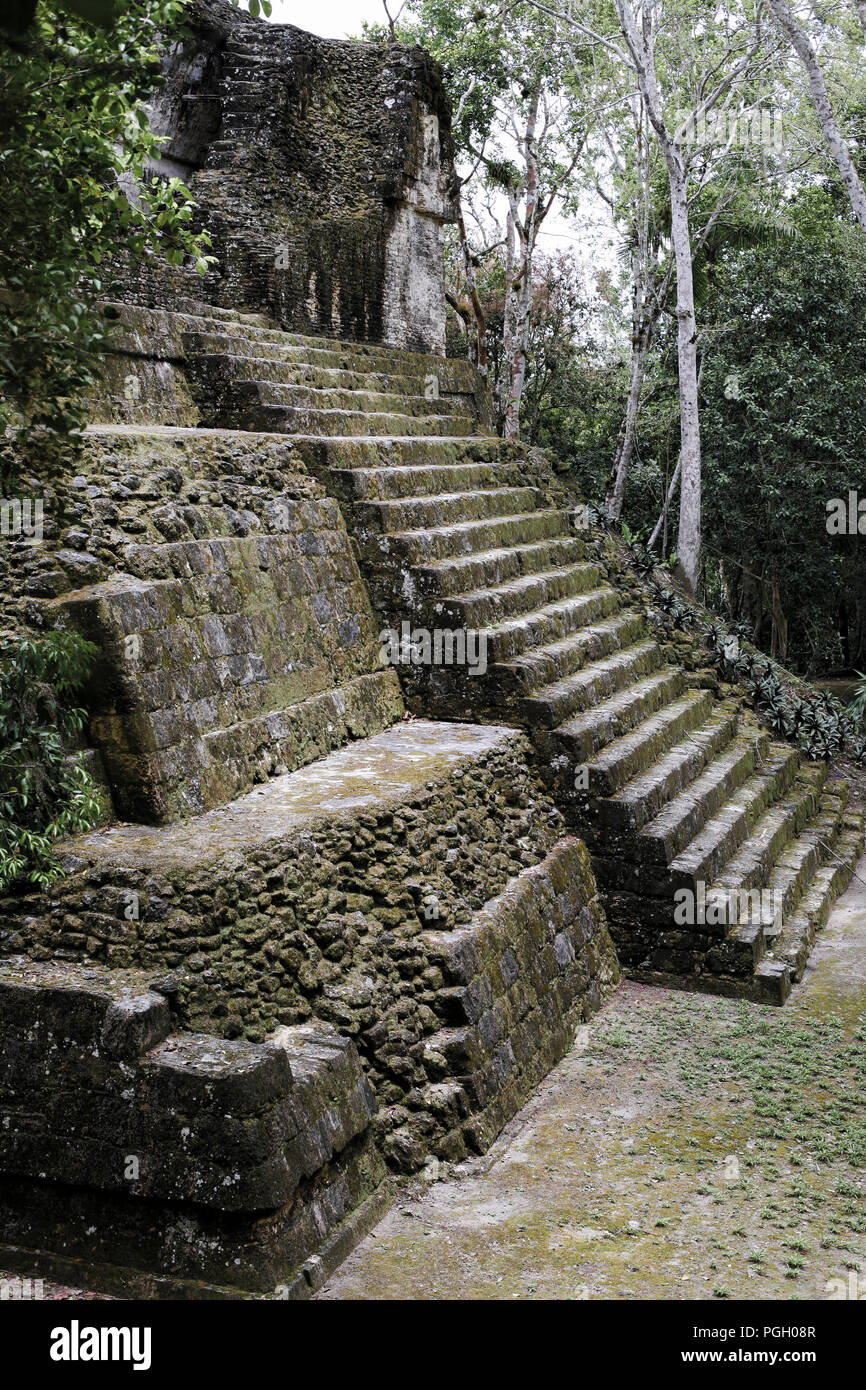 Mayan temple steps in Tikal, Guatemala, Central America Stock Photo